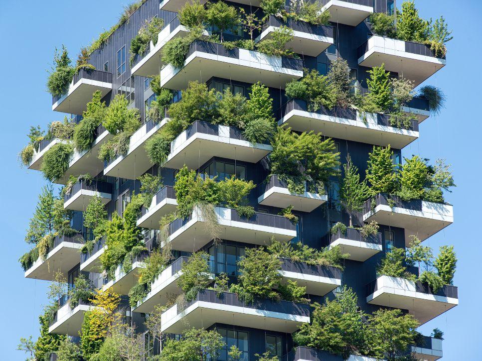 55+ residence