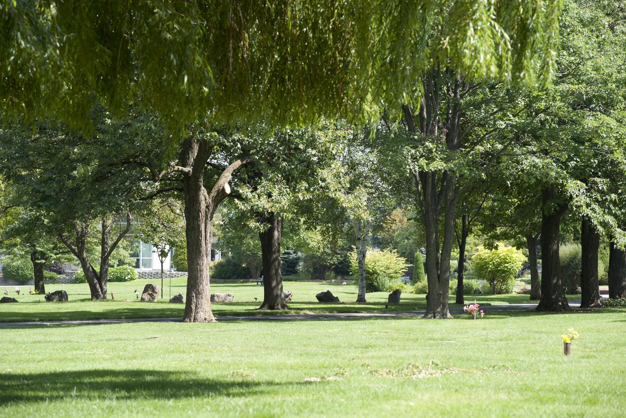 Terrain Montreal