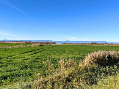 Résidence Bleue - Cap-Saint-Ignace