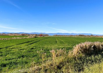 Résidence Bleue - Cap-Saint-Ignace