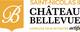 logo Château Bellevue de Saint-Nicolas II