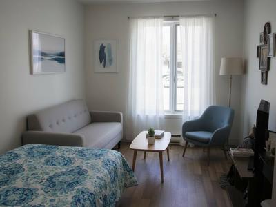 Manoir Centre-Ville