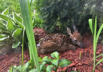 Résidence Boiscastel