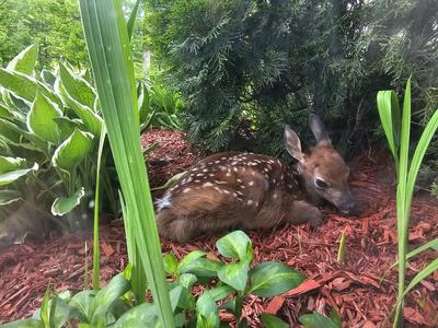 Résidence Boiscastel