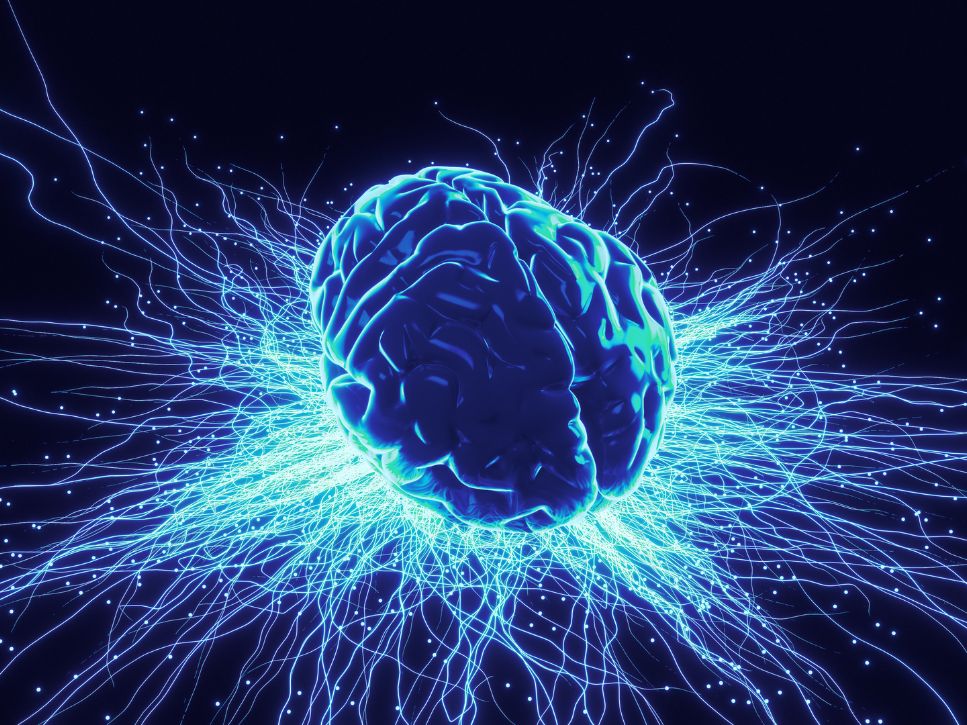 Les effets de la musique sur le cerveau
